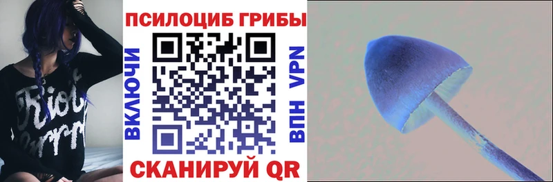 магазин    МЕГА маркетплейс  Галлюциногенные грибы Psilocybine cubensis  Разумное 